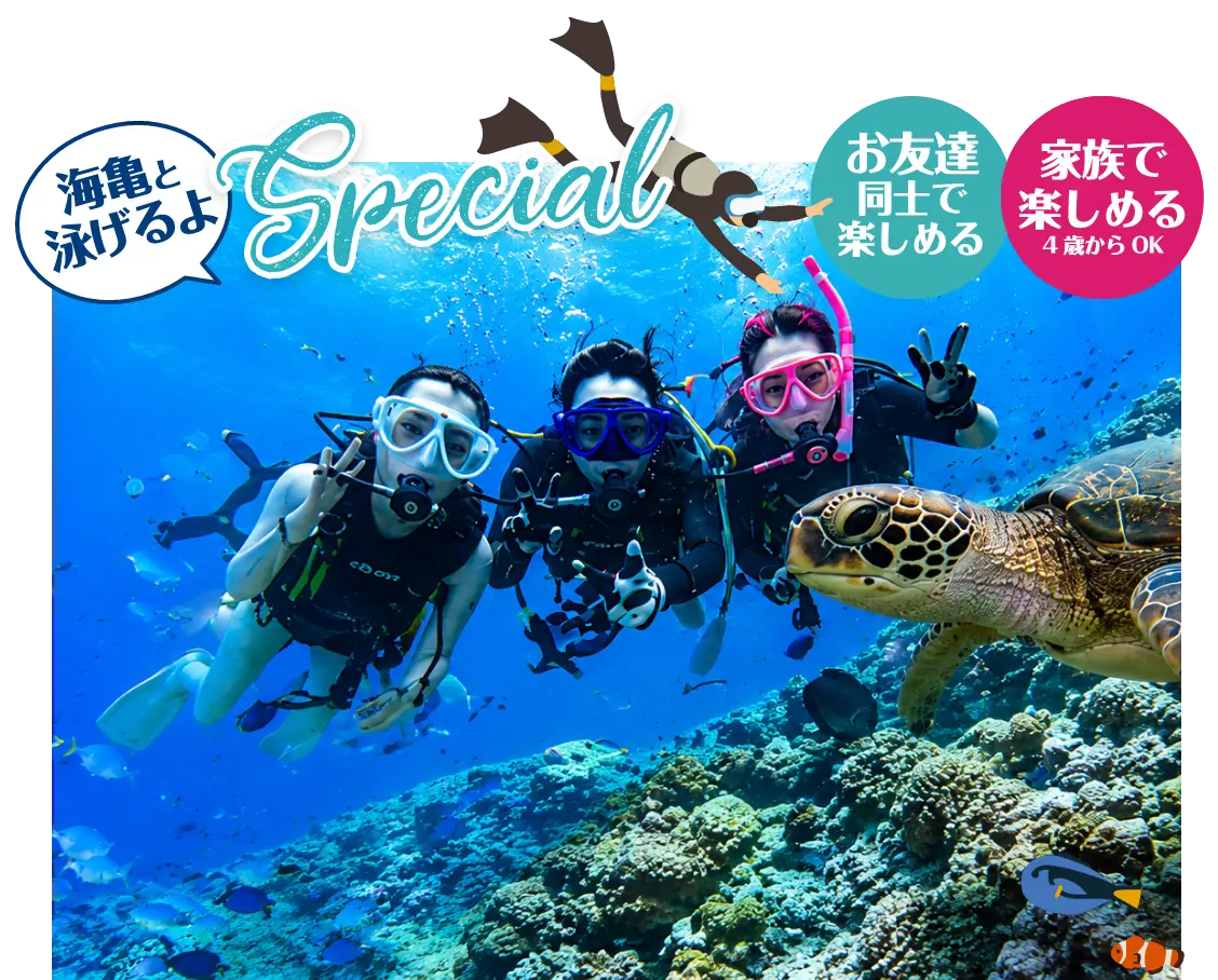 海亀と泳げるよ Special ホテル直結のダイビングショップがオープン!