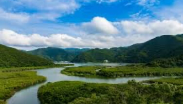Amami Mangrove Park