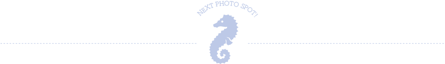 NEXT PHOTO SPOT