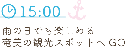 15:00 雨の日でも楽しめる奄美の観光スポットへGO
