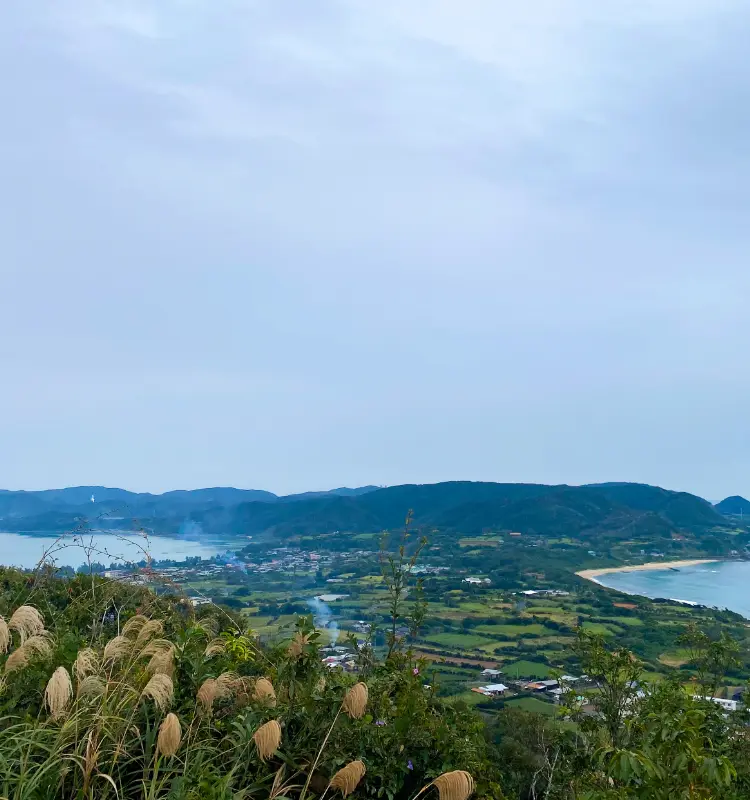 奄美大島