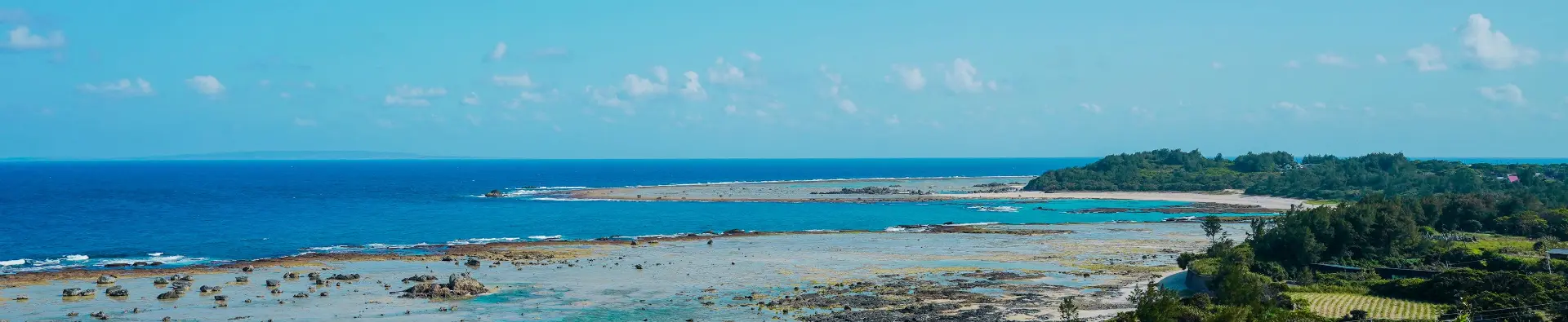 奄美大島