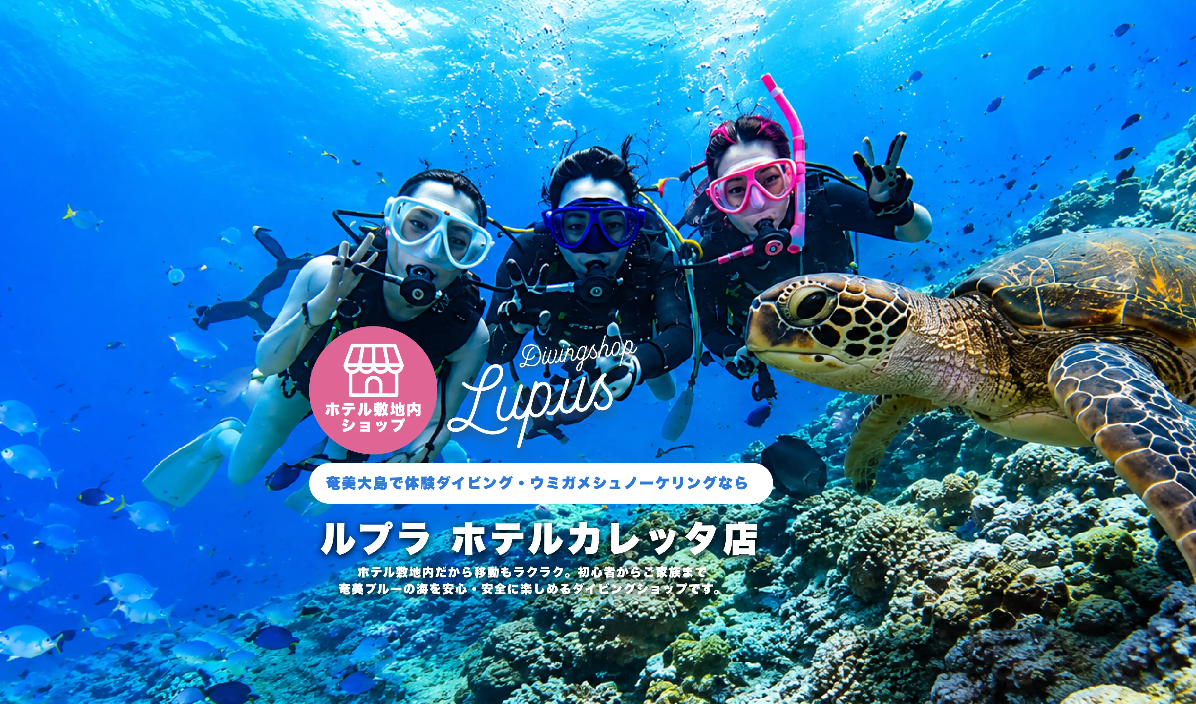 奄美大島で体験ダイビング・ウミガメシュノーケリング ルプラ ホテルカレッタ店