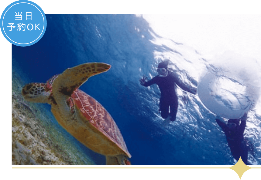 スキューバダイビング