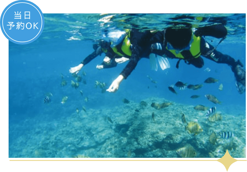 シュノーケリング