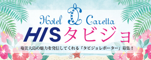 HISタビジョ