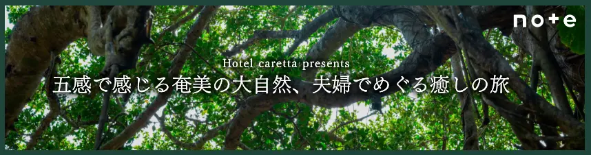 五感で感じる奄美の大自然、夫婦でめぐる癒しの旅